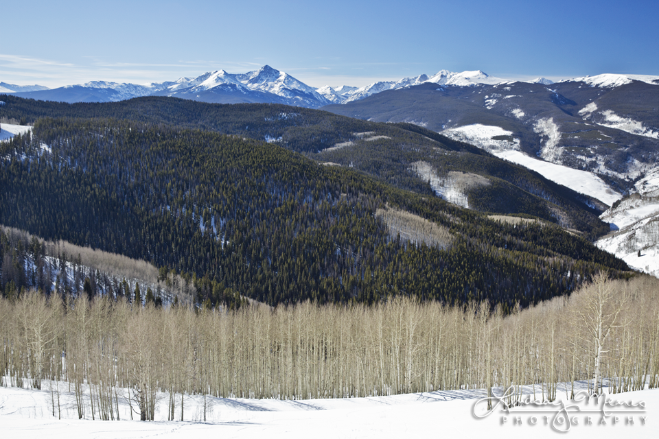 Vail View